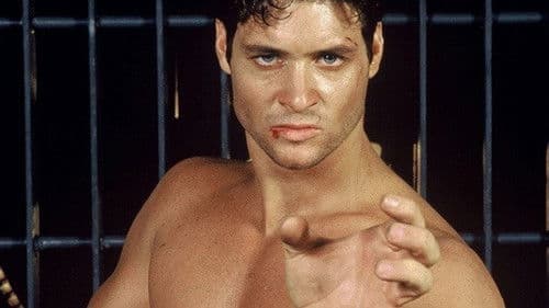 Shadowchaser 2 Bild 5