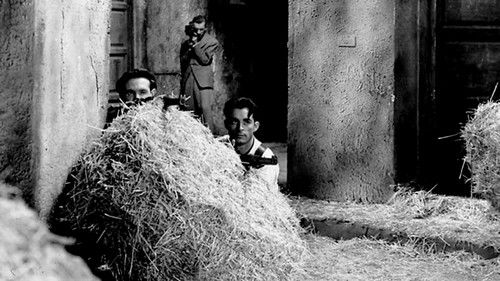 Vida en sombras Bild 3