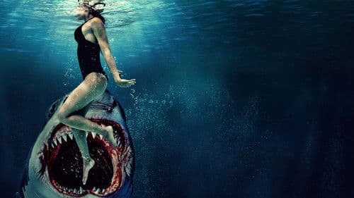 Something in the Water Bild 6