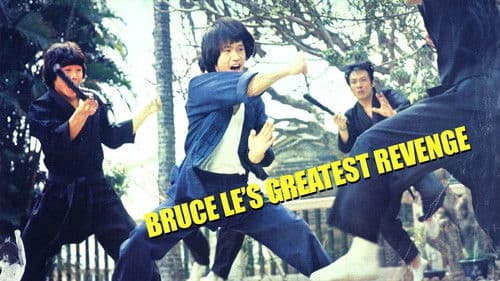 Bruce Lee - Seine tödliche Rache Bild 1