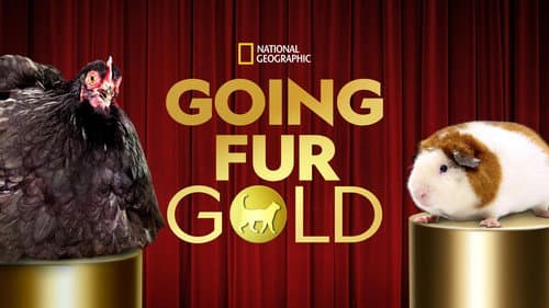 Going Fur Gold Bild 8
