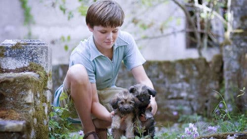 My Family and Other Animals Bild 7