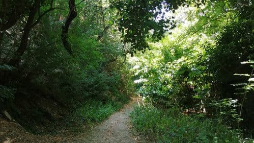 Chaînes Dorées Bild 4