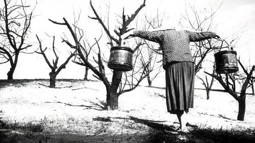 Quelle für die Dürstenden Bild 5