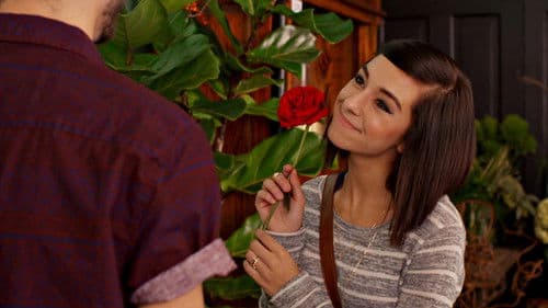 The Matchbreaker Bild 4