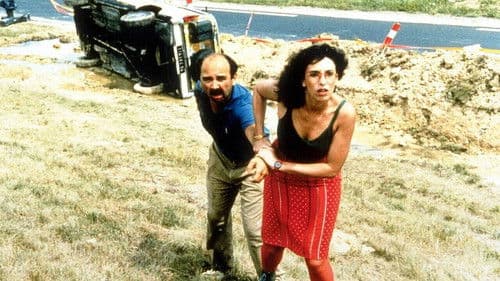 Damenwahl – Männerjagd Bild 3