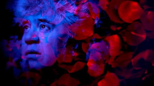 Pedro Almodovar und seine Frauen Bild 2