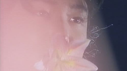 くノ一忍法帖 IV 忠臣蔵秘抄 Bild 4