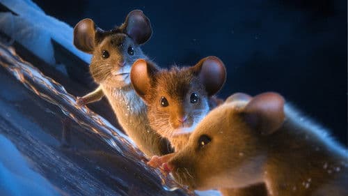 Mission: Mäusejagd – Chaos unterm Weihnachtsbaum Bild 4