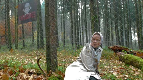 Die Frau, die im Wald verschwand Bild 1
