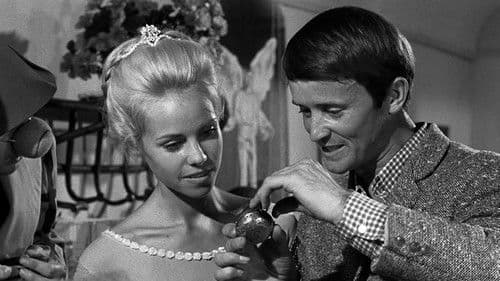 Fifi la plume Bild 2