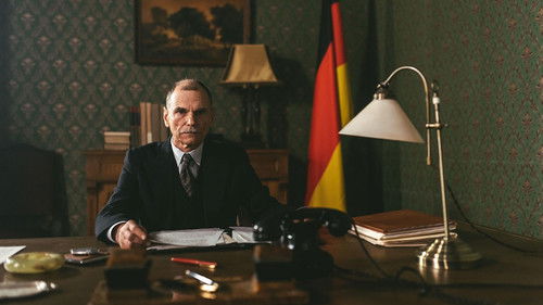 Wie kam Hitler an die Macht? Bild 8