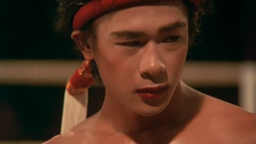 Beautiful Boxer Bild 3