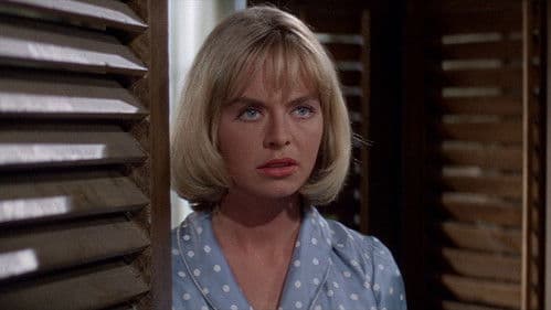 Die Verdammten der Kalahari Bild 5