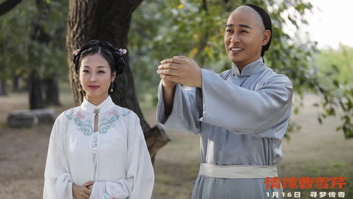 情缘曹雪芹 Bild 1