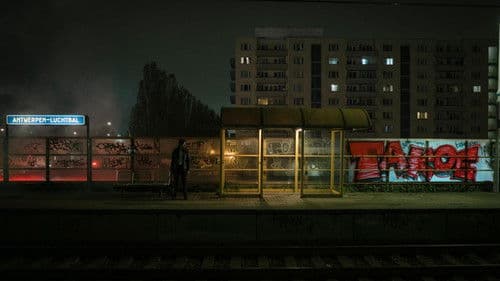 Nachtvlinders Bild 5