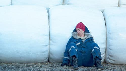 Milchkrieg in Dalsmynni Bild 4