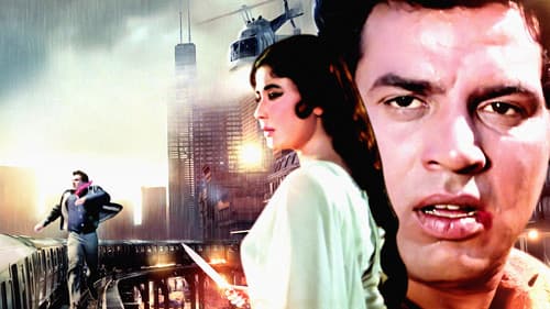 फूल और पत्थर Bild 4