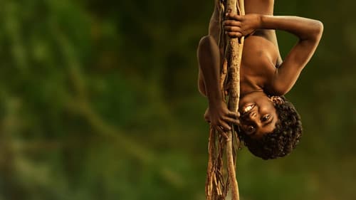 ఆకాశ‌వాణి Bild 1