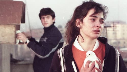 Një djalë edhe një vajzë Bild 1