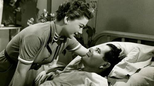 Follow the Sun Bild 1