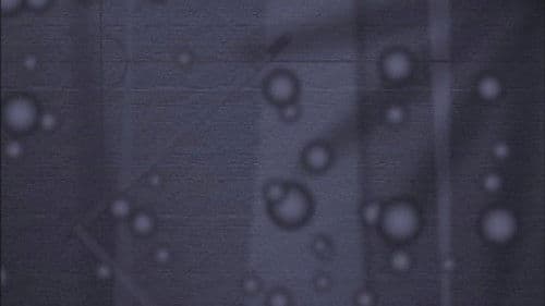 The Standard Deviants: The Split-Infinitive World of English Grammar Bild 1