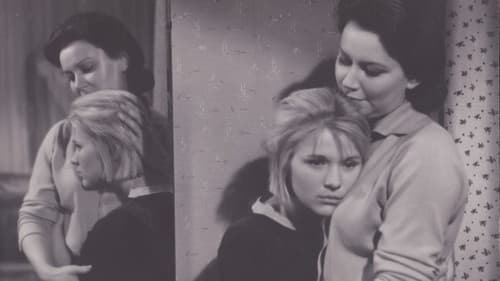 Дикая собака Динго Bild 2