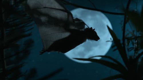 Das Universum Bild 2