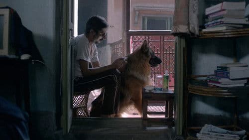 মায়ানগর Bild 2