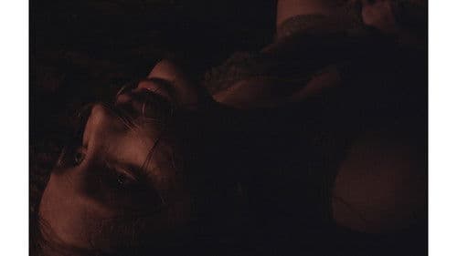 Não Nos Deixeis Bild 3