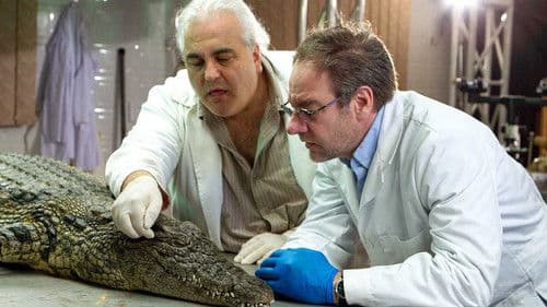 Das Krokodil - Innenansichten eines Kraftpakets Bild 1