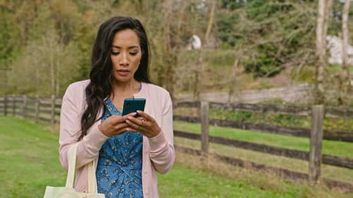 Wedding Cake Dreams Bild 3