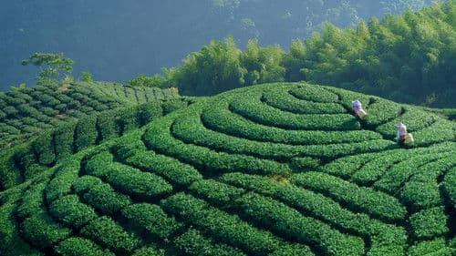 美力台灣3D Bild 6