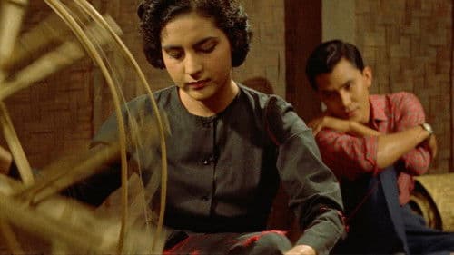 แพรดำ Bild 2