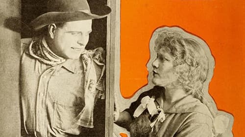 Nobody's Wife Bild 1