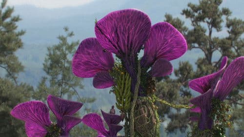 The Cage - Die letzten Überlebenden Bild 2