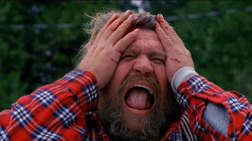 The American Scream Bild 1