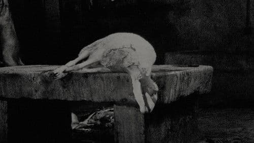 The Hart of London Bild 2