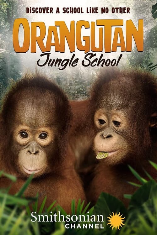 Orangutan Jungle School – Kindergarten mal anders