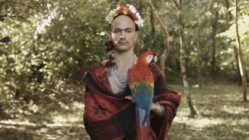 O Sussurro do Jaguar Bild 1