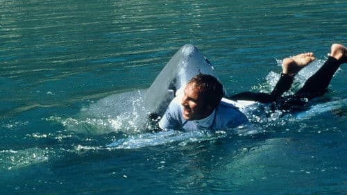 Shark Attack - The Killer Is Back Bild 5