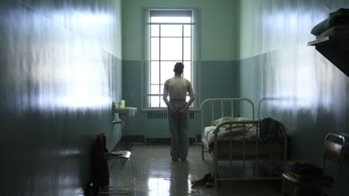 Elephant Song Bild 2