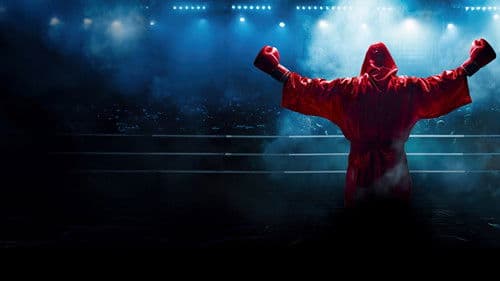 Regina Halmich vs. Stefan Raab - The Final Fight Bild 1