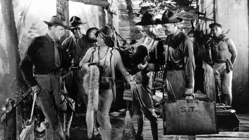 …aber das Fleisch ist schwach Bild 6