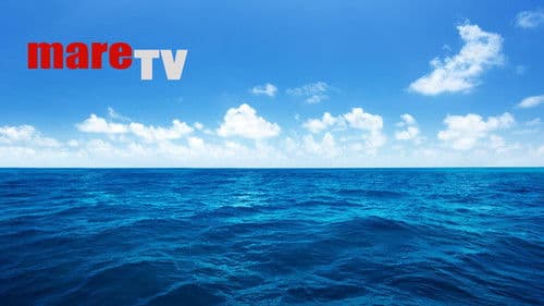 mare TV Bild 1