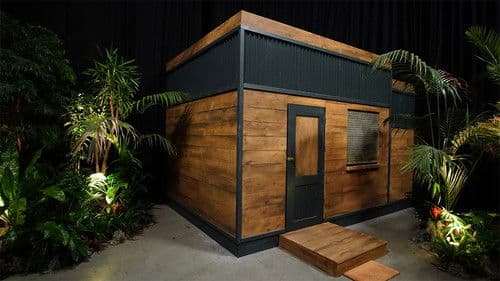 Ich bin ein Star - Die große Dschungelshow Bild 1