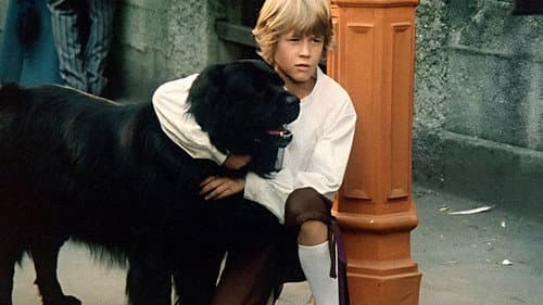 Sreča na vrvici Bild 7