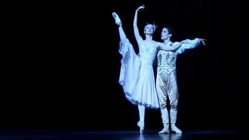 Agnès Letestu: L'apogée d'une étoile Bild 1