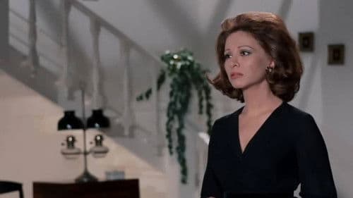 إمبراطورية ميم Bild 1