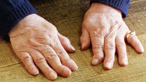 24 portraits d Alain Cavalier Bild 1